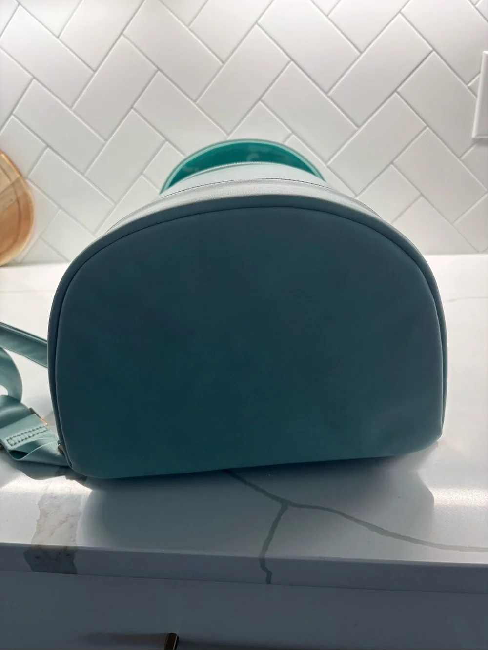 Corkcicle Mint Green Insulated Bottle Carrier with Strap